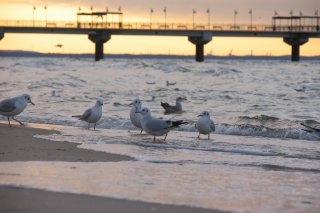 Plaża w Międzyzdrojach