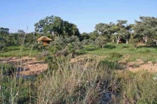 Shindzela Tented Safari Camp