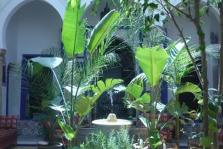 Riad