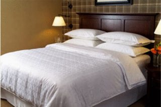 Sheraton Tribeca  Hotel