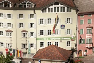 Hotel Grüner Baum