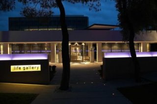 Life Gallery