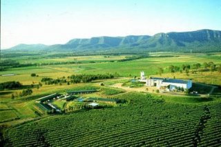 Hunter Valley Resort