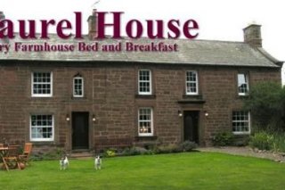 Laurel House