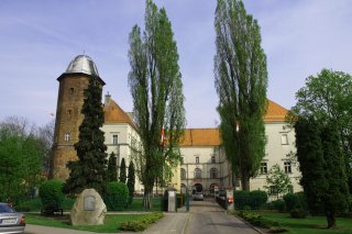 Zamek Królewski w Koźminie Wielkopolskim