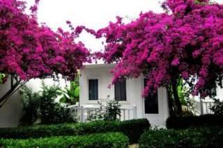 Blue & White Hotel