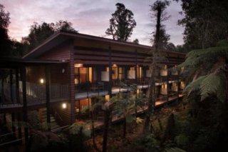 Te Waonui Forest Retreat