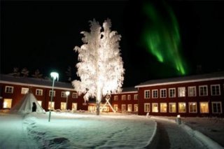 Forest Hotel