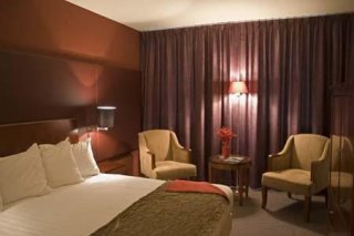 Golden Tulip
