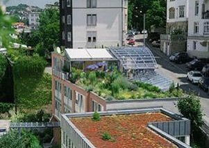 Abalon Hotel ideal