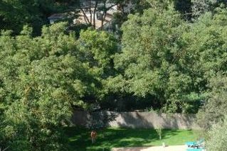 Alojamiento Rural Molino Del Puente