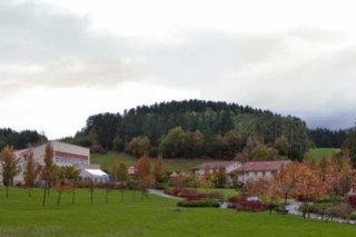 Amalurra