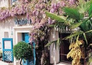 La Glycine
