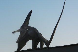 Park Dinozaurów Zaurolandia