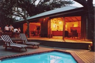 Bushwillow
