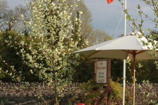 The Rose Garden Café And B&B