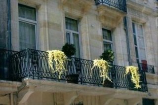 La Maison Du Lierre