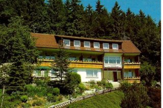 Hotel Pension Zur Steinburg