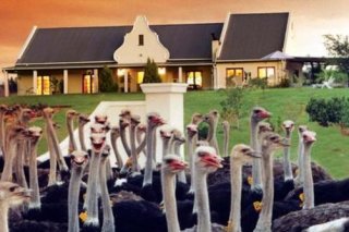 Mooiplaas Guesthouse
