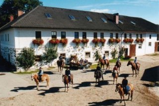 Reiterhof Stöglehner
