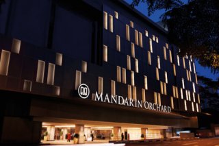 Mandarin Orchard