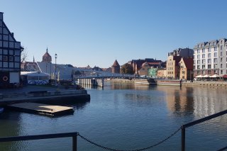 Aleja Włazów