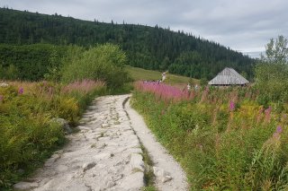 Schronisko PTTK Murowaniec