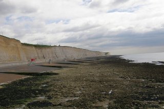 Brighton