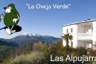 La Oveja Verde