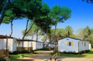 Las Palmeras Camping & Bungalow