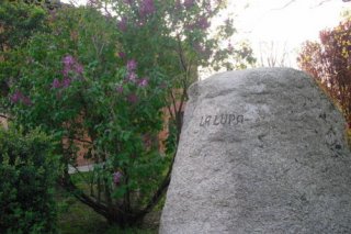 Azienda Agrituristica La Lupa