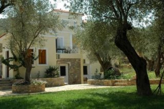 Gera's Olive Grove (Elaionas tis Geras)