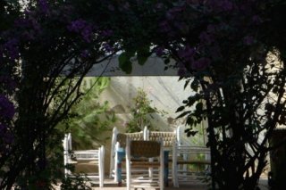 Vent Des Dunes