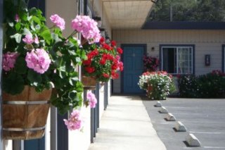 Candle Bay Inn