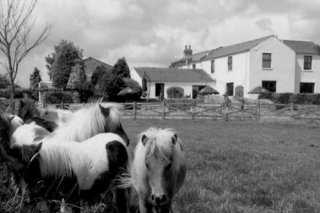 The Jersey Farm Country Hotel