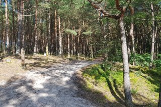 Plaża kąpielisko  wejście nr 19
