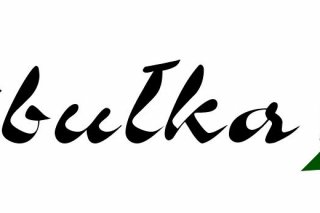 Bibułka ZZ