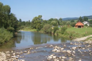 Pole namiotowo-biwakowe Grzybek
