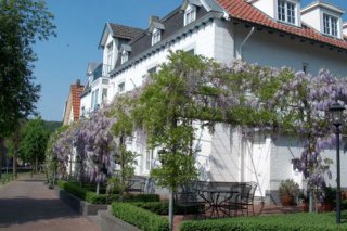 Hotel Brull
