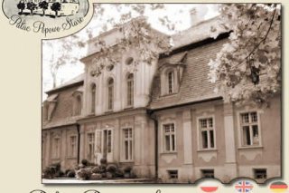 Palace Popowo Stare Park Hotel