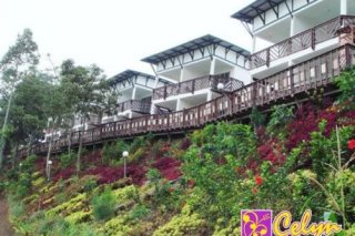 Celyn Resort Kinabalu
