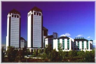 Cosmo Hotel Torri