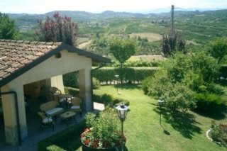 Il Vigneto