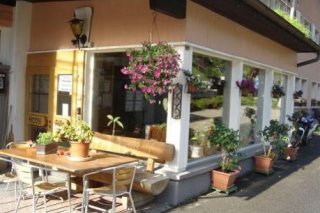 Hotel Alfa