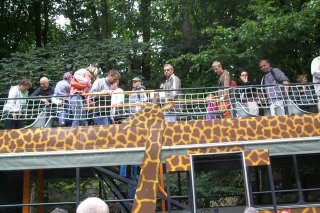ZOO Safari