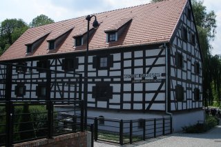 Muzeum Okręgowe - Zbiory Archeologiczne