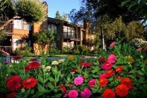 San Diego Country Estates