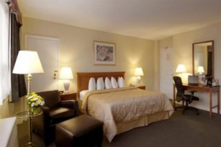 Comfort Hotel Downtown