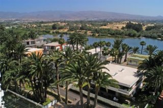 Apartamentos Oasis