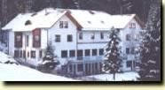 Waldhotel Bellevue